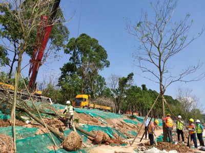 如何加強(qiáng)園林綠化工程施工現(xiàn)場(chǎng)的管理要點(diǎn)?