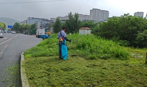 港溝綠化所 扎實做好夏季園林綠化養護工作