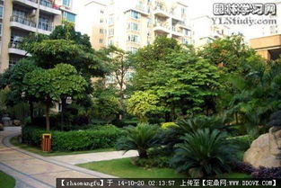 植物配置,花鏡設(shè)計參考實(shí)景圖片的圖片瀏覽,園林節(jié)點(diǎn)照片,綠化,園林景觀設(shè)計施工圖紙資料下載